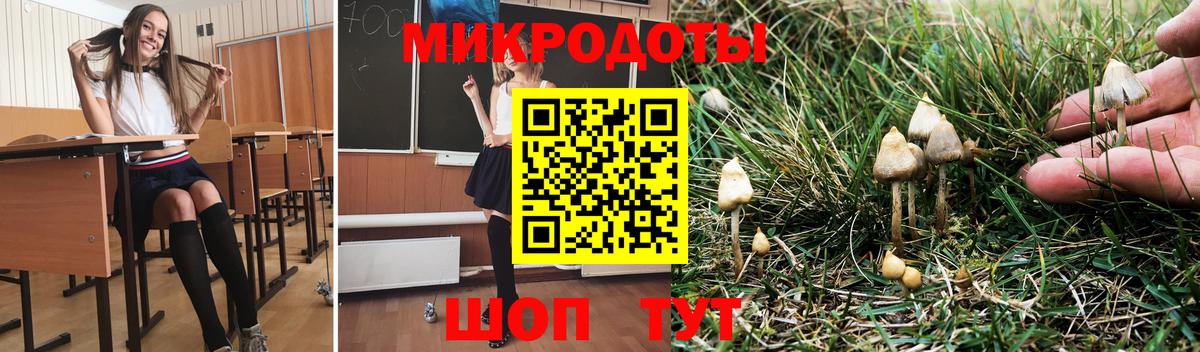 Псилоцибиновые грибы Magic Shrooms  Псилоцибиновые грибы ЛСД  Зеленокумск  Вход с VPN 