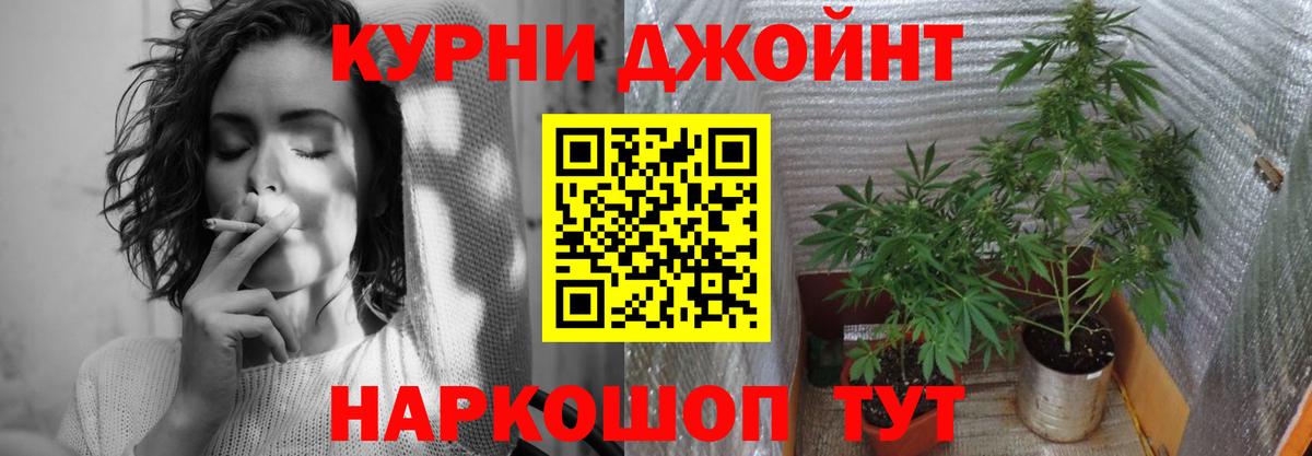Каннабис сатива Зеленокумск